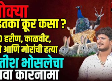 SATISH KHOKYA BHOSALE: 200 हरीण, काळवीट, ससे आणि मोरांची हत्या; सतीश भोसलेचा नवा कारनामा