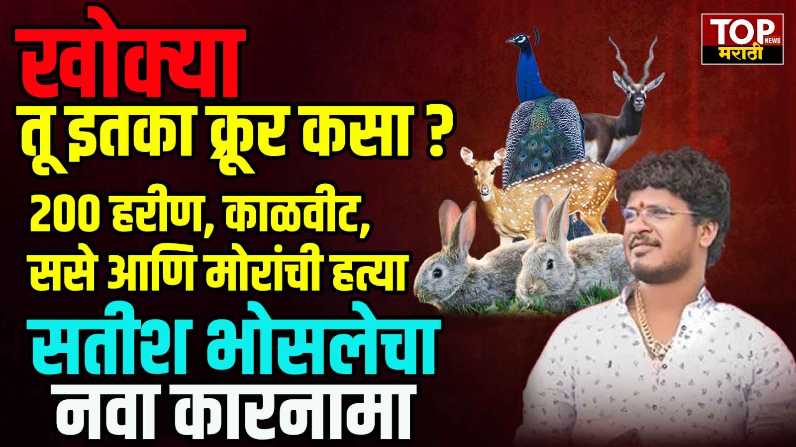 SATISH KHOKYA BHOSALE: 200 हरीण, काळवीट, ससे आणि मोरांची हत्या; सतीश भोसलेचा नवा कारनामा