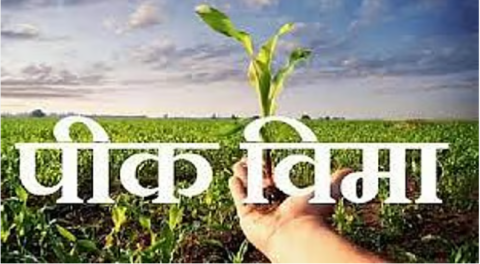 FARMER PIKVIMA NEWS: प्रधानमंत्री पीक विमा योजनेचा (PRADHAMMANTRI PIKVIMA YOJNA)  विमा अर्ज भरण्यासाठी सीएससी विभागास प्रती शेतकरी ४० रुपये मानधन केंद्र शासनाने निर्धारित करुन दिले असून शेतकऱ्यांनी विमा हप्त्याव्यतिरिक्त इतर शुल्क अदा करु नये, असे आवाहन विभागीय कृषी सहसंचालक दत्तात्रय गावसाने यांनी केले आहे.