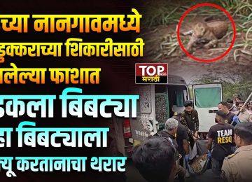 DAUND NANGAON BIBTYA NEWS: दौंड तालुक्यातील नानगाव परिसरात"रानडुक्कराच्या शिकारीसाठी लावलेल्या फाशात एक बिबट्या अडकला... ही घटना पाहण्यासाठी शेकडो लोकांनी गर्दी केल्याने वाहतूक कोंडी झाली. अखेर वनविभागाने आणि ‘रेसक्यू टीम’ने संयुक्त मोहिम राबवत बिबट्याची सुटका केली