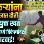 Nashik fertilizer scam: नाशिकमध्ये कृषी विभागानं मोठी कारवाई करत बनावट खतं आणि कीटकनाशकं विकणाऱ्या विक्रेत्यांवर धडक कारवाई केली आहे.Nashik fertilizer scam: यामध्ये तब्बल २४ विक्रेत्यांचे परवाने तात्काळ निलंबित करण्यात आले आहेत.