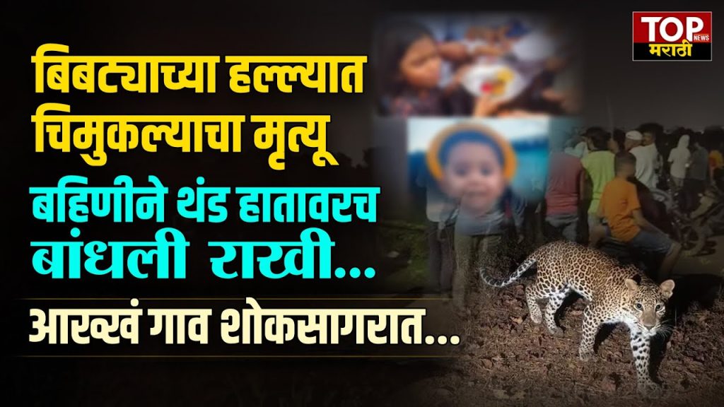 Brother kidnapped by leopard on Raksha Bandhan day