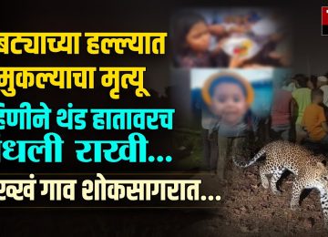 Brother kidnapped by leopard on Raksha Bandhan day
