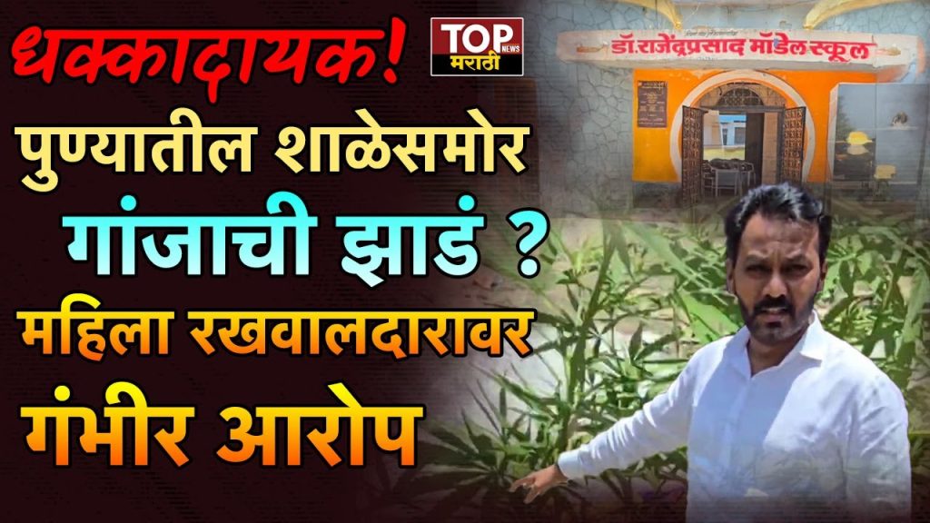 PUNE BOPODI NEWS:  पुण्याच्या बोपोडीमधून एक धक्कादायक प्रकार समोर आला आहे. विद्येच्या माहेरघरात चक्क शाळेच्या समोर गांजाची झाडं आढळून आली आहेत.