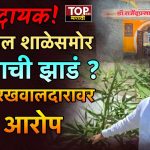 PUNE BOPODI NEWS:  पुण्याच्या बोपोडीमधून एक धक्कादायक प्रकार समोर आला आहे. विद्येच्या माहेरघरात चक्क शाळेच्या समोर गांजाची झाडं आढळून आली आहेत.