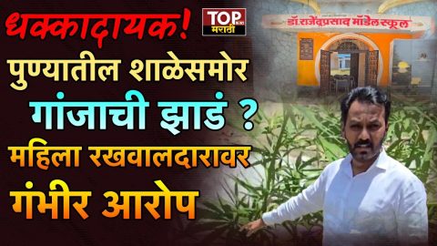 PUNE BOPODI NEWS:  पुण्याच्या बोपोडीमधून एक धक्कादायक प्रकार समोर आला आहे. विद्येच्या माहेरघरात चक्क शाळेच्या समोर गांजाची झाडं आढळून आली आहेत.