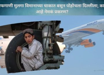 Afghan boy stowaway Delhi flight: Afghan boy reaches Delhi hiding in aircraft wheel; what's the full story?