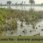 Jalna Natural Disaster 2025: Farmers Devastated as Torrential Rains Destroy Crops