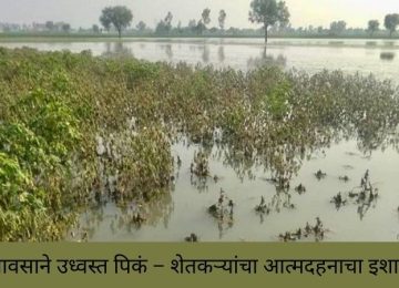 Jalna Natural Disaster 2025: Farmers Devastated as Torrential Rains Destroy Crops