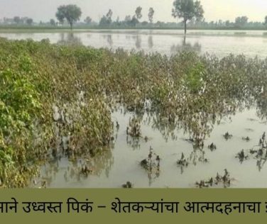 Jalna Natural Disaster 2025: Farmers Devastated as Torrential Rains Destroy Crops