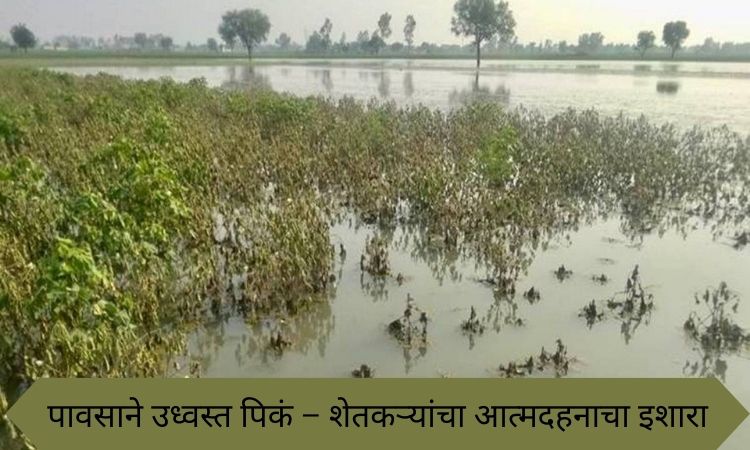 Jalna Natural Disaster 2025: Farmers Devastated as Torrential Rains Destroy Crops