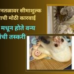 Wildlife Smuggling Shock at Mumbai Airport: Major Customs Operation at Mumbai Airport
