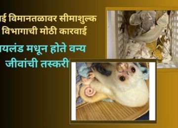 Wildlife Smuggling Shock at Mumbai Airport: Major Customs Operation at Mumbai Airport