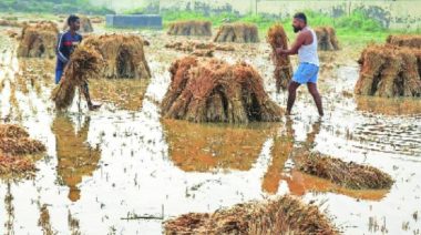 MARATHWADA HEAVY RAIN: यंदाच्या पावसाळ्यात अतिवृष्टी पुरामुळे शेतकऱ्यांचे मोठे नुकसान झाले असून या बाधित शेतकऱ्यांच्या पाठीशी शासन खंबीरपणे उभे आहे.