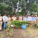 Beed Ganja Seizure: Police Raid Ganja Farm in Malegaon, Approx. ₹12 Lakh Worth of Cannabis Seized