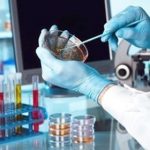 Moshi FDA food and drug testing laboratory: Construction in final stage; local testing reports to be available within 8 months