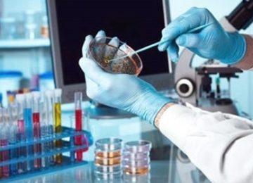 Moshi FDA food and drug testing laboratory: Construction in final stage; local testing reports to be available within 8 months