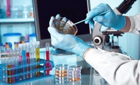 Moshi FDA food and drug testing laboratory: Construction in final stage; local testing reports to be available within 8 months