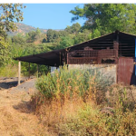 SATARA NEWS:  सातारा जिल्ह्यातील (SATARA NEWS) जावळी तालुक्यातील सावरी गावात एमडी ड्रग्ज बनवणाऱ्या कारखान्यावर मुंबई क्राईम ब्रँचने मोठी कारवाई केली आहे. या कारवाईत 15 कोटींचा एमडी ड्रग्जचा साठा जप्त करण्यात आला.