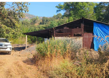 SATARA NEWS:  सातारा जिल्ह्यातील (SATARA NEWS) जावळी तालुक्यातील सावरी गावात एमडी ड्रग्ज बनवणाऱ्या कारखान्यावर मुंबई क्राईम ब्रँचने मोठी कारवाई केली आहे. या कारवाईत 15 कोटींचा एमडी ड्रग्जचा साठा जप्त करण्यात आला.