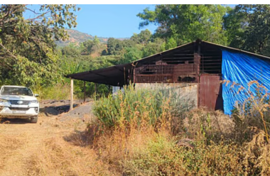 SATARA NEWS:  सातारा जिल्ह्यातील (SATARA NEWS) जावळी तालुक्यातील सावरी गावात एमडी ड्रग्ज बनवणाऱ्या कारखान्यावर मुंबई क्राईम ब्रँचने मोठी कारवाई केली आहे. या कारवाईत 15 कोटींचा एमडी ड्रग्जचा साठा जप्त करण्यात आला.