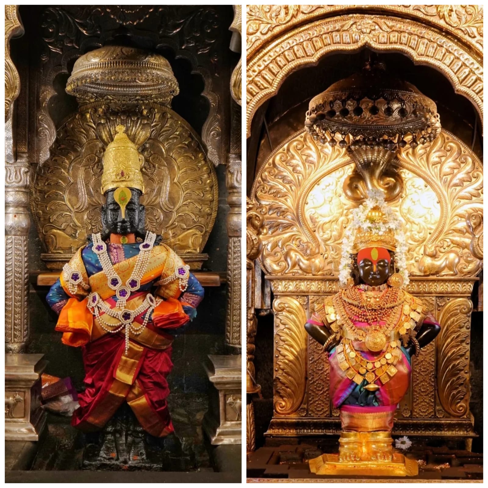 MAKARSANKRANT SPECIAL